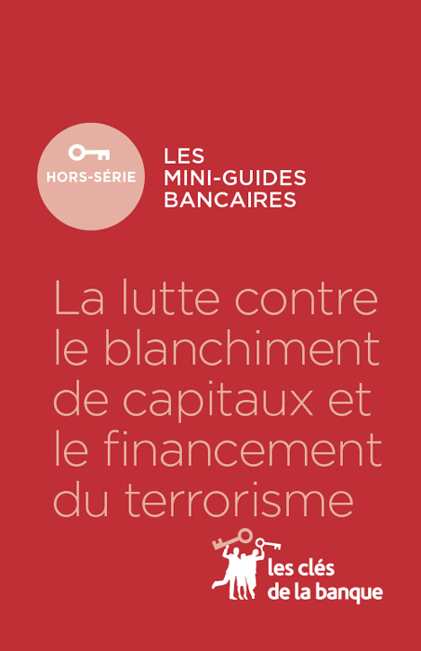 Lutte Contre Le Blanchiment Des Capitaux Et Le Financement Du ...